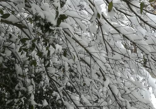 IMG-20210220-WA0002
